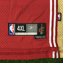 Load image into Gallery viewer, NBA Cleveland Cavaliers LeBron James Rookie Season