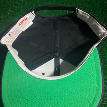 Load image into Gallery viewer, MLB Tampa Bay Devil Rays SNAP BACK